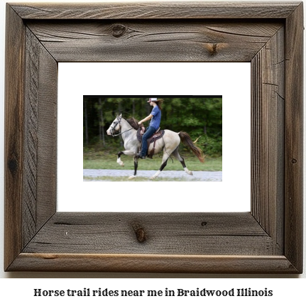 horse trail rides near me in Braidwood, Illinois